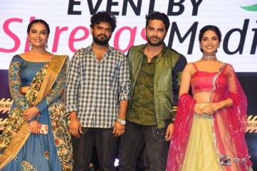 Hit Movie Pre Release Event Vizag